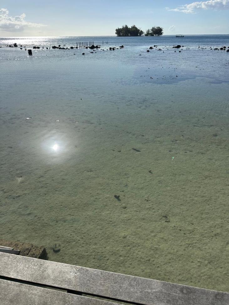 Villa Miri Miri - Bord De Mer Prive Tevaitoa Eksteriør billede